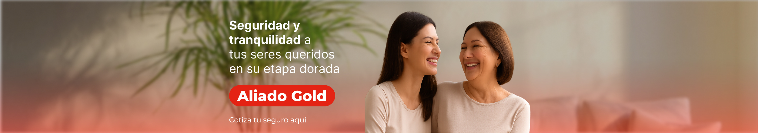Aliado Gold